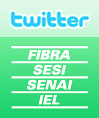 logo_twi